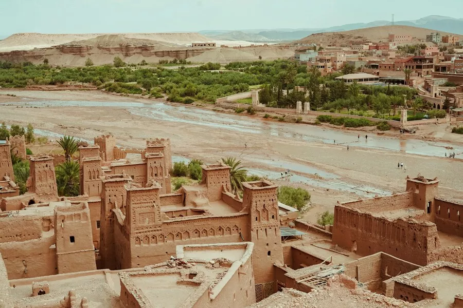 كيف تساهم الشركات الناشئة في تعزيز الاقتصاد المحلي؟